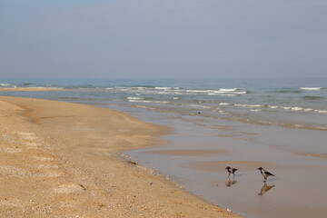 captured amazing moment of weather when the first snow fell from italy city of Pescara a shot was taken in the sea very muddy weather it was snowing and also a change of view of the sea
