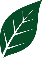 Stylish green Leaf illustration Vector art