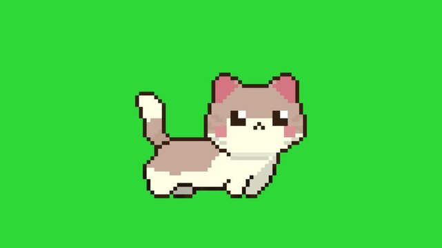 running cat animation character in pixel art style with green screen background