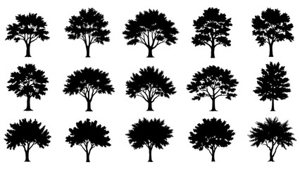 Tree Silhouette Illustration &ndash; Perfect for Nature Art, Crafts, and Home Decor Projects