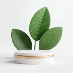 Product display podium with nature leaves on white background. 3D rendering