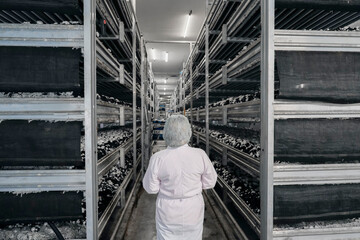 Worker woman in a white coat and cap stands and looks at the shelves in the mushroom cellar. Concept image of a person in a work environment.
