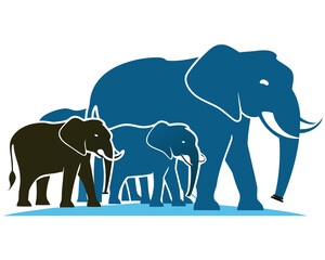 Obraz premium Elephants family graphic illustration Vector