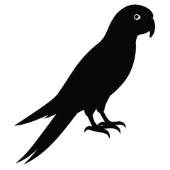 Parrot bird silhouette flat vector icon on white background © Saikat