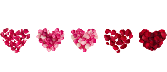 Five Heart Shapes Made of Rose Petals isolated on a transparent background 3