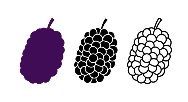Minimalist illustration of three sets of mulberry silhouettes, Symbolizing natural minimal fruit, flat vector design illustration.