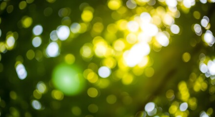 Abstract nature background with blurred green and yellow bokeh lights in the forest scene
