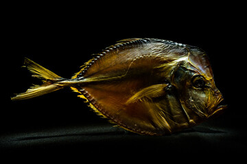 shining fish on a black backgroung