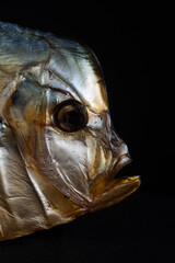 shining fish on a black backgroung