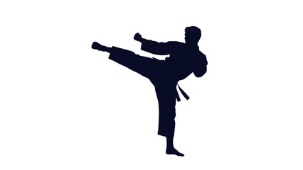 Dynamic Silhouette of Karate Practitioner in Mid Action Kick