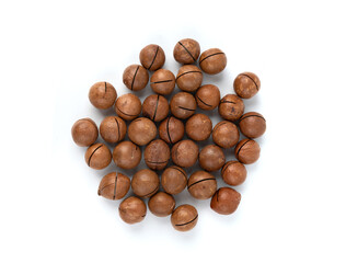 Macadamia nuts isolated. Natural raw peeled macadamia seeds and shells