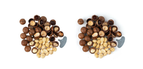 Macadamia nuts isolated. Natural raw peeled macadamia seeds and shells