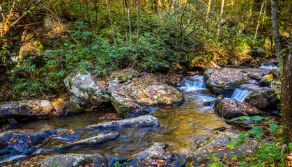 Smith Creek along the Anna Ruby Falls Trail in the  Chattahoochee-Oconee National Forestin the northeast mountains of Georgia near Helen Georgia USA