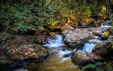 Smith Creek along the Anna Ruby Falls Trail in the  Chattahoochee-Oconee National Forestin the northeast mountains of Georgia near Helen Georgia USA
