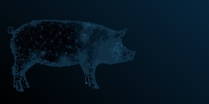 Abstract polygonal illustration of a pig against a dark blue background