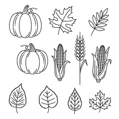 Autumn harvest collection featuring pumpkins corn wheat and various fall leaves.