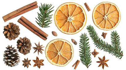 Collection of natural winter and christmas elements arranged decoratively.