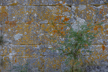 Ruins of the city of Termessos. An ancient city located high in the mountains of Turkey. The walls of the buildings in the ancient city are made of huge stone blocks. Masonry of ancient buildings.
