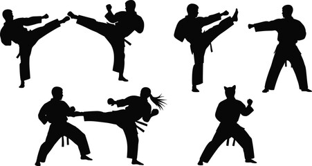 Martial arts silhouette, karate kick pose, taekwondo stance, black belt action, dynamic motion, discipline, agility, strength, training, combat style
