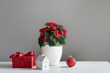 Red poinsettia plant used as creative Christmas tree alternative on table with gift box and ornaments. Modern holiday interior decor without traditional tree.