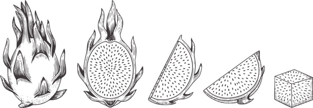 Black and white line of dragon fruit cross sections and flame shapes