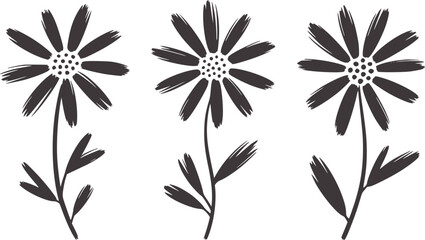 Minimalist black and white daisy flowers line daisies