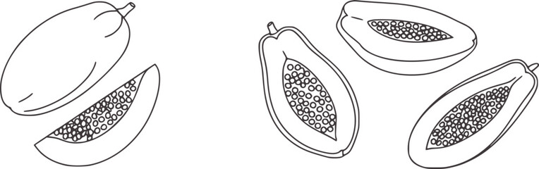 Minimalist black and white line of papaya fruit whole and sliced