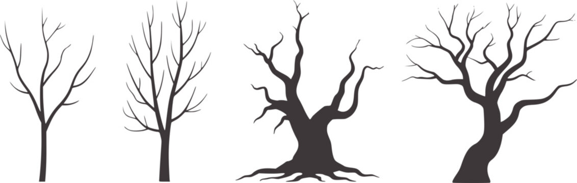 Minimalist black and white bare tree silhouettes trees