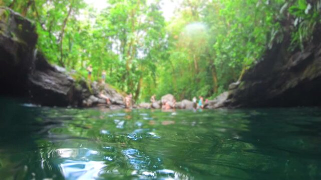 Bassin Paradis in Basse Terre jungle