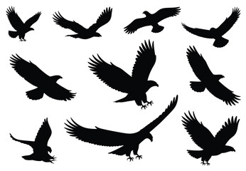 eagle silhouette and flying bird silhouettes, featuring multiple bird shapes in various flight poses, perfect for wildlife illustrations, logos, nature designs, and vector projects.