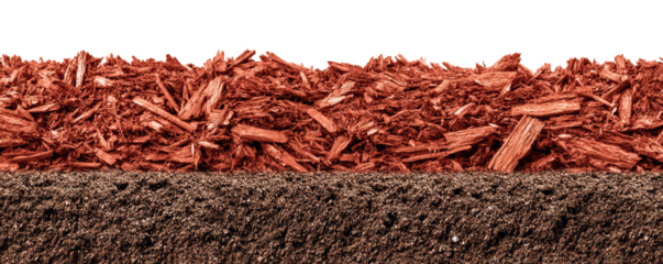 a cedar mulch base for walkway clipart, aromatic garden element, Close-up view of rich brown soil layered with vibrant red mulch, ideal for landscaping and gardening projects.