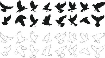 Black Silhouette and Outline of Pigeon in Flight, Flat Vector Movement Sequence