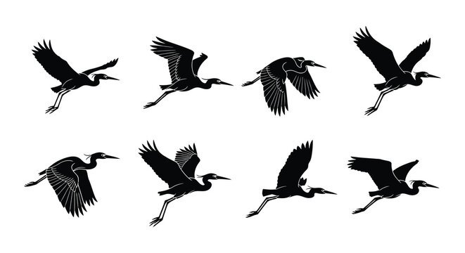 A collection of silhouettes depicting herons in various flight poses