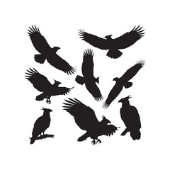 Harpy Eagle Silhouettes Collection,Harpy Eagle Silhouettes,Vector Harpy Eagle Silhouettes,Powerful Eagle Bird Silhouettes,harpy eagle vector