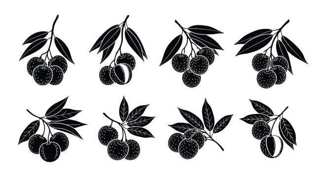 Black silhouette illustrations of java plum fruits with leaves arranged in rows