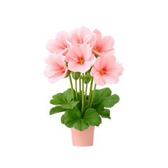Beautiful pink flowers in a pot with lush green leaves displayed