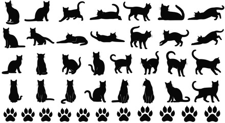 Set of black cat silhouettes in various poses, feline vector shapes and paw prints isolated on white background
