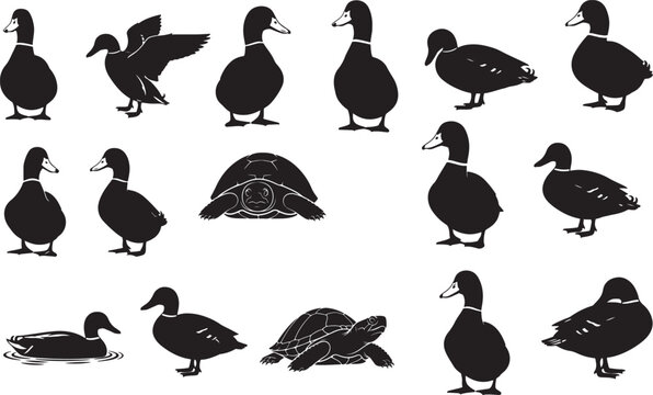 Collection of black silhouette ducks and turtles illustration