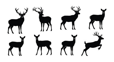 Silhouette collection of majestic deer and stags in various poses