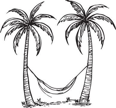 plam tree silhouette on white background

