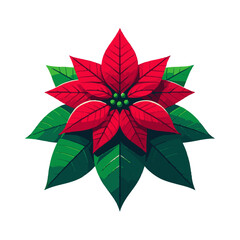 
poinsettia illustration design