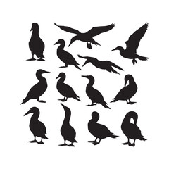 Blue-Footed Booby Silhouettes Collection,Blue-Footed Boobies Silhouettes,Vector Blue-Footed Booby Silhouettes,Tropical Bird Silhouettes,blue-footed booby vector