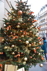  Sapin de No&euml;l en d&eacute;cembre