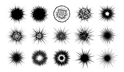 Obraz premium Set of black and white explosive burst elements