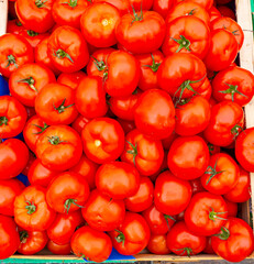 Resh, ripe, red tomatoes on sale t French street market