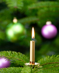 Brennende Christbuamkerze an einem Weihanchtsbaum