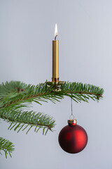 Rote Weihnachtskugel an einem Tannenzweig