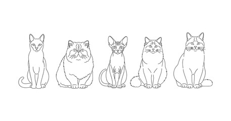 Line art illustration of five different cat breeds in various poses on white background
