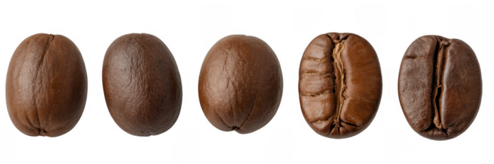 Roasted brown coffee beans isolated on a transparent background seeds