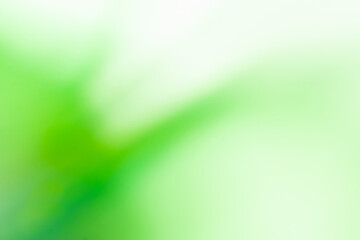 Blurry green color bokeh backdrop. Verdant teal color blurred background.